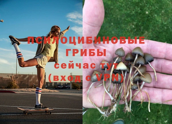 марки nbome Армянск
