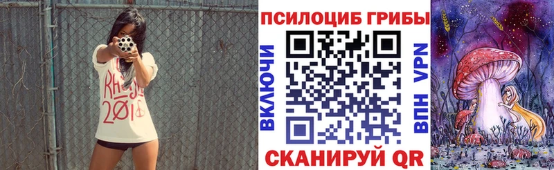 Купить закладки  Мураши  Псилоцибиновые грибы Cubensis 